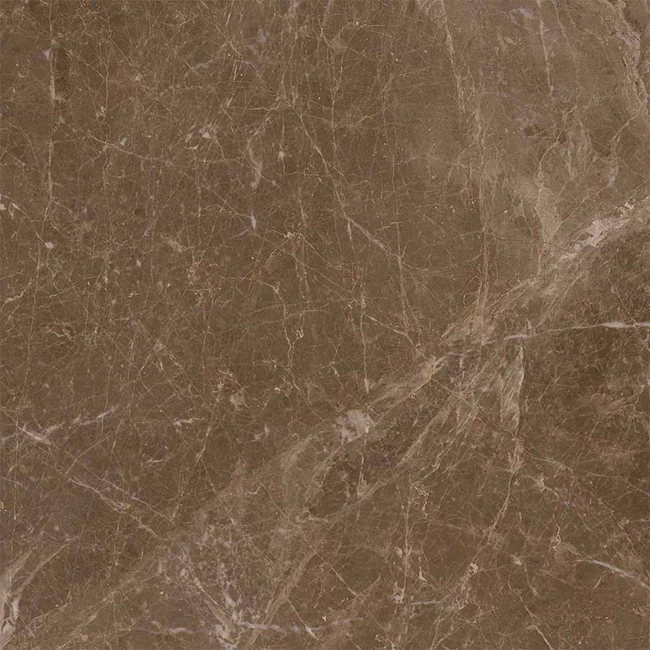 Adore Polished Brown Floor Tile 60x60