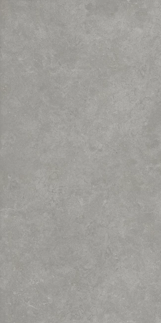 Cement 2.0 Mat Cold Gri Porselen Karo 60x120