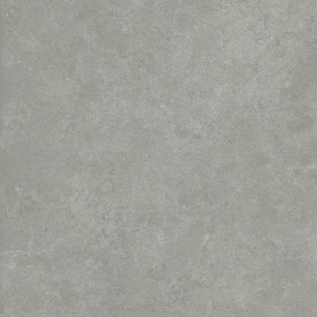 Cement 2.0 Matte Cold Grey Porcelain Tile 60x60