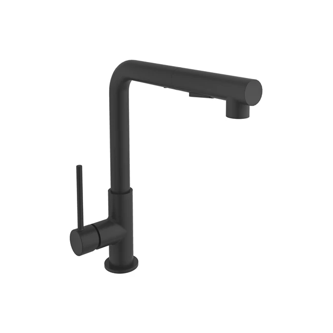 Gastro L Pull Out Sink Mixer Dual Function Matte Black