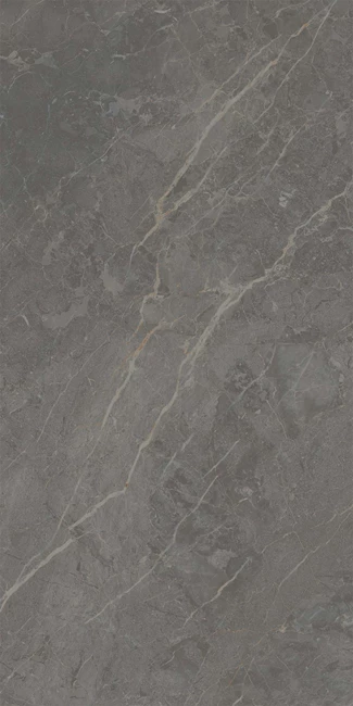 Royal Marbles Savana Dark Matte Porcelain Tile 60x120